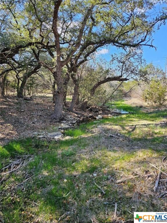 TBD County Rd 230, Lampasas, TX 76550 - photo 7
