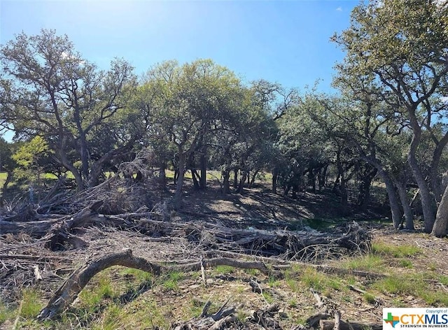 TBD County Rd 230, Lampasas, TX 76550 - photo 6