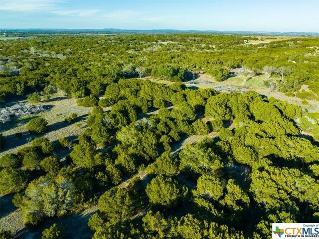 TBD County Rd 230, Lampasas, TX 76550 - photo 17