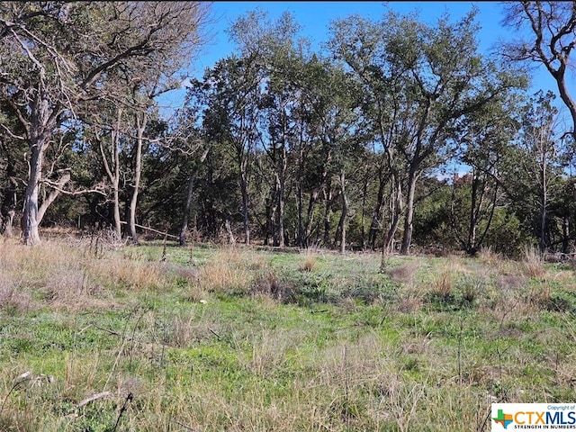 Listing photo 3 for TBD County Rd 230, Lampasas TX 76550