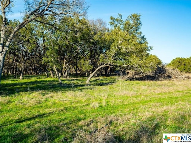TBD County Rd 230, Lampasas, TX 76550 - photo 12
