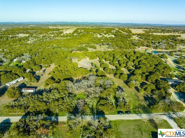 TBD County Rd 230, Lampasas, TX 76550 - photo 15