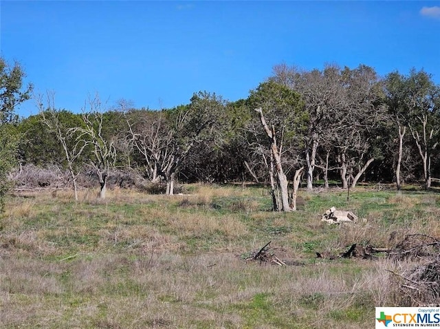 TBD County Rd 230, Lampasas, TX 76550 - photo 10