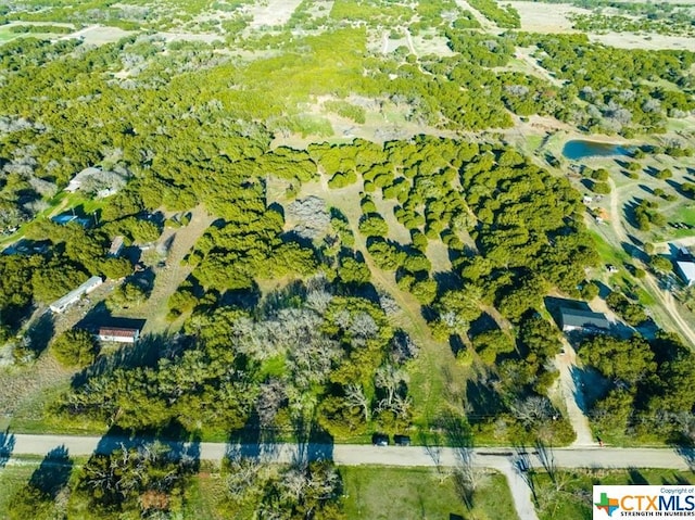 TBD County Rd 230, Lampasas, TX 76550 - photo 27