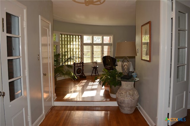 doorway to outside featuring wood-type flooring