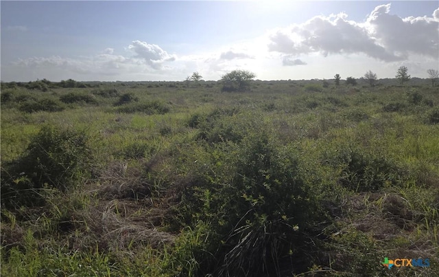 8551 Fm 530, Edna, TX 77957 - photo 5
