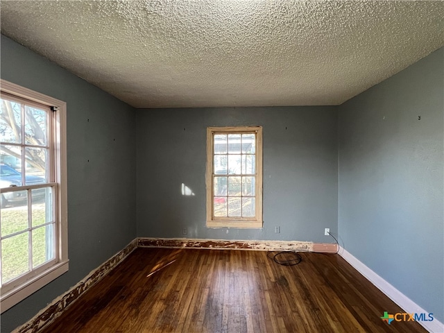 empty room featuring a wealth of natural light, wood-type flooring, and a textured ceiling