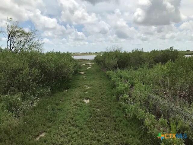 view of local wilderness with a water view