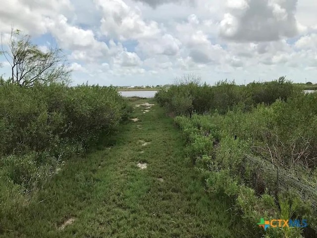 296 S Ocean Dr, Port Lavaca, TX 77979 - view of undeveloped land