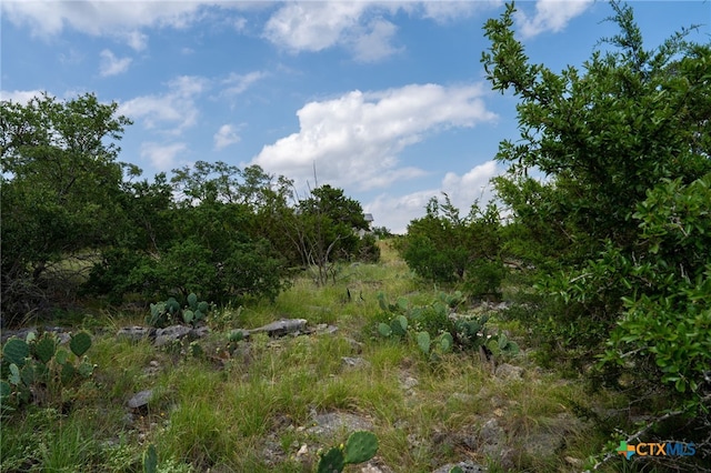 5817 Copper Vly, New Braunfels, TX 78132