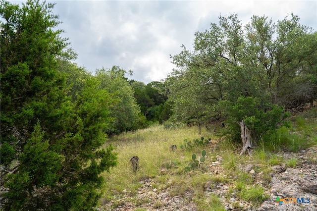 5817 Copper Vly, New Braunfels, TX 78132