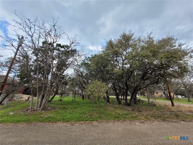 Listing photo 3 for 14 S Cliffwood Cir, Belton TX 76513