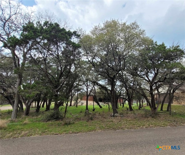 Listing photo 2 for 14 S Cliffwood Cir, Belton TX 76513