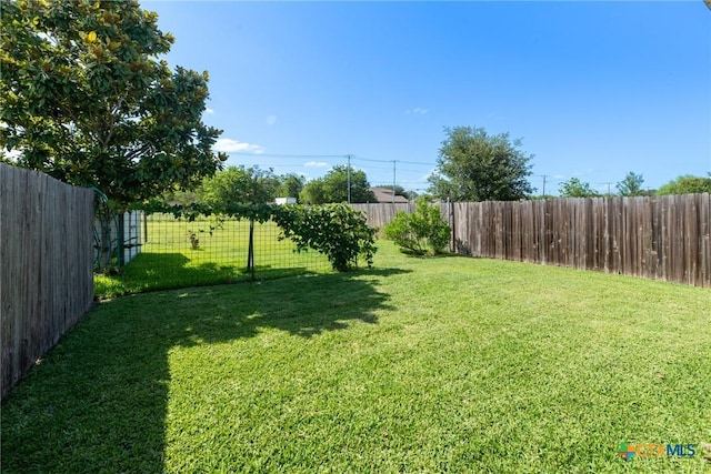 225 Anne Louise Dr, New Braunfels, TX 78130 - view of fenced backyard