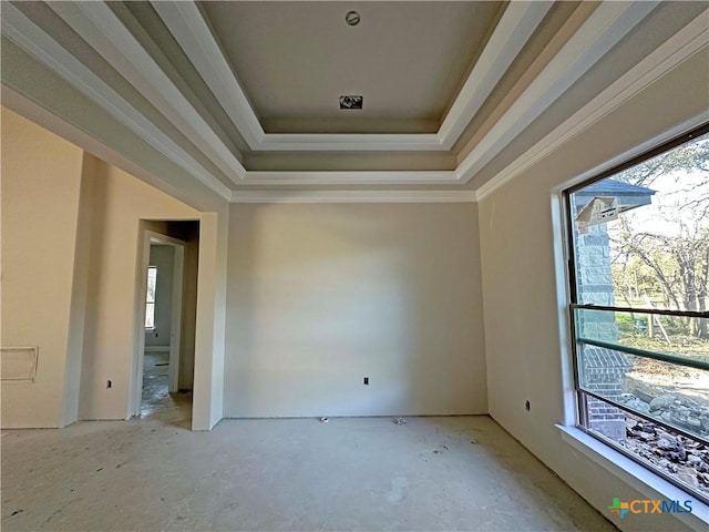 empty room featuring plenty of natural light and a tray ceiling