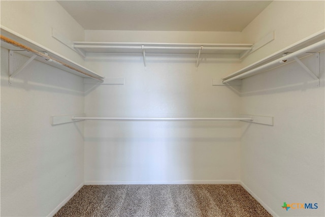 spacious closet with carpet flooring