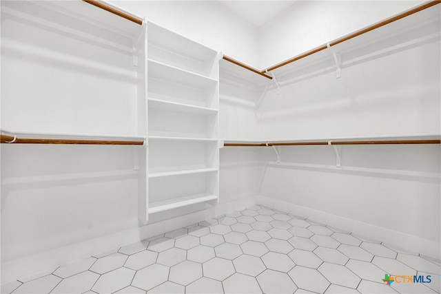 303 W Lane Ave, Manor, TX 78653 - view of spacious closet