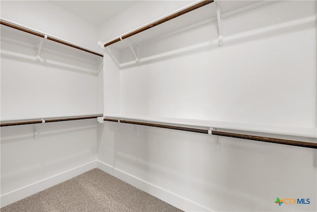 walk in closet featuring carpet