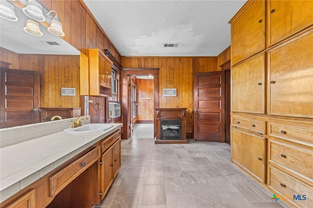9 S Milam St, Rogers, TX 76569 - bathroom with wood walls, a fireplace, visible vents, and a sink