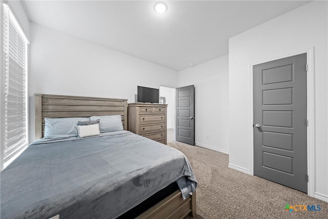 bedroom featuring baseboards and carpet floors