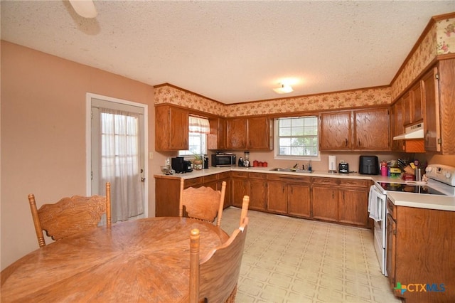 209 Pleasants St, Cuero, TX 77954 - photo 8