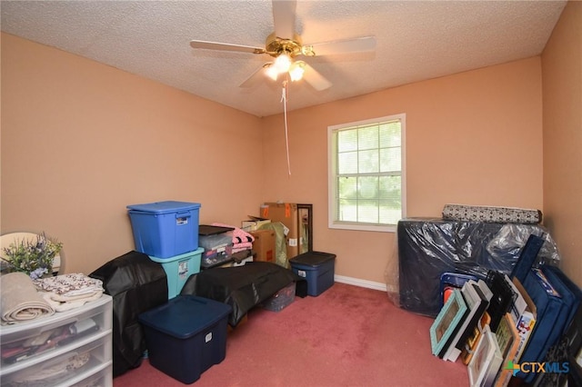 209 Pleasants St, Cuero, TX 77954 - photo 16
