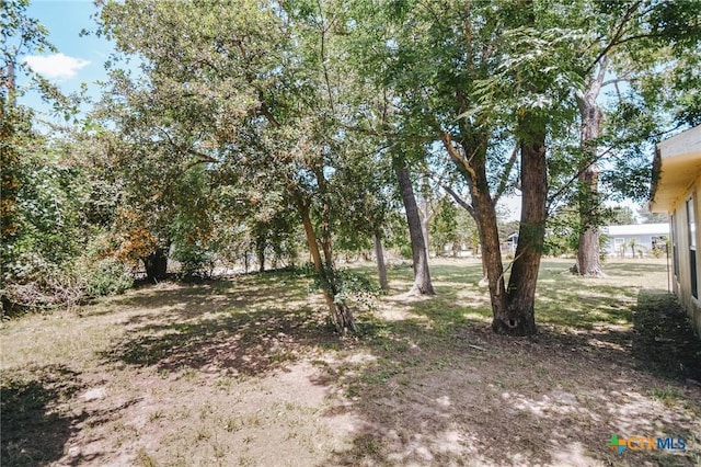 209 Pleasants St, Cuero, TX 77954 - photo 20