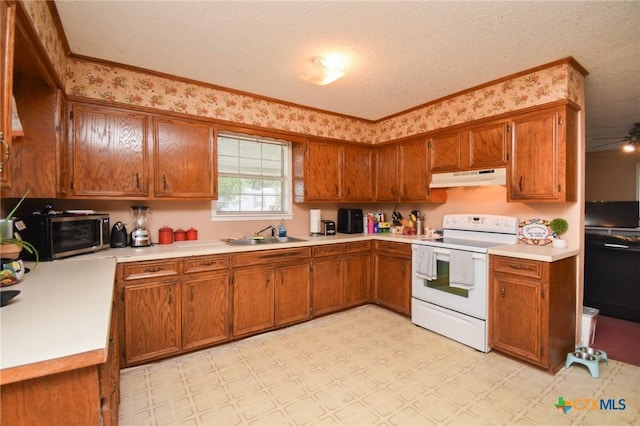 209 Pleasants St, Cuero, TX 77954 - photo 9