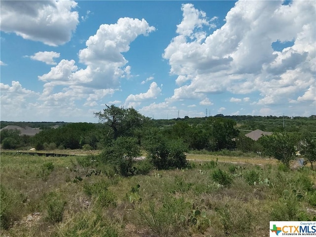 313 Eagle Basin Cir, Spicewood, TX 78669 - photo 2