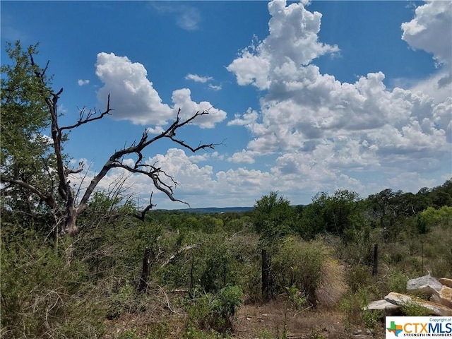 313 Eagle Basin Cir, Spicewood, TX 78669 - photo 7