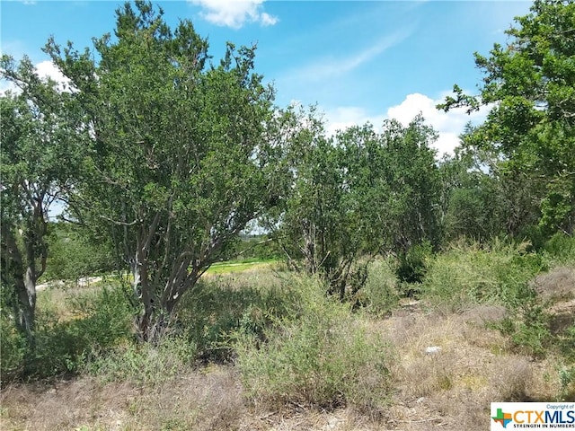 313 Eagle Basin Cir, Spicewood, TX 78669 - photo 4