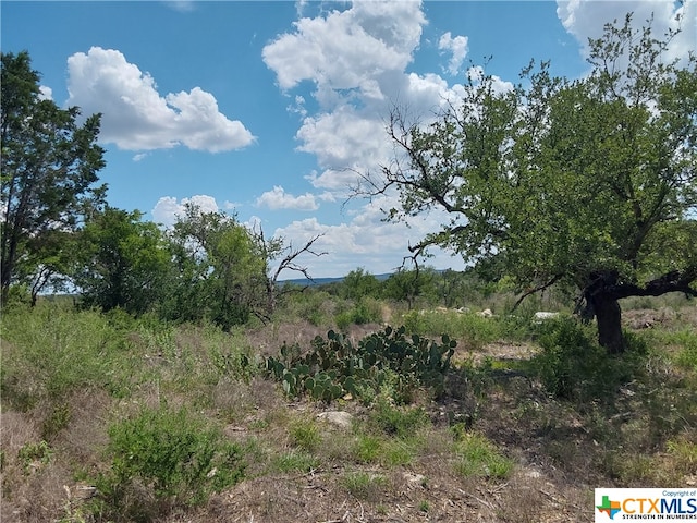 313 Eagle Basin Cir, Spicewood TX, 78669 land for sale