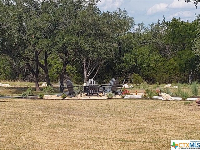 313 Eagle Basin Cir, Spicewood, TX 78669 - photo 11