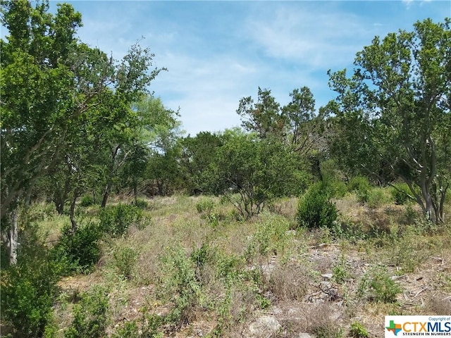 313 Eagle Basin Cir, Spicewood, TX 78669 - photo 5