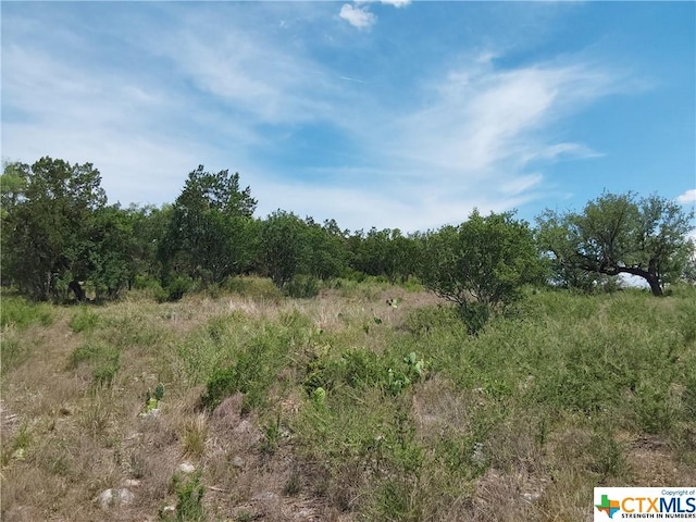 313 Eagle Basin Cir, Spicewood, TX 78669 - photo 6