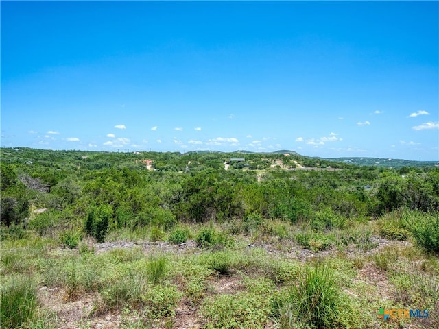151 Nighthawk Ln, Canyon Lake, TX 78133