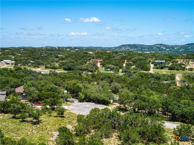 151 Nighthawk Ln, Canyon Lake, TX 78133