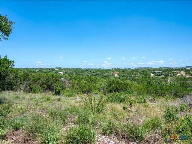 151 Nighthawk Ln, Canyon Lake, TX 78133