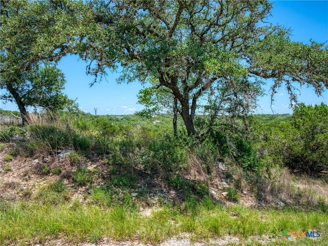 151 Nighthawk Ln, Canyon Lake, TX 78133