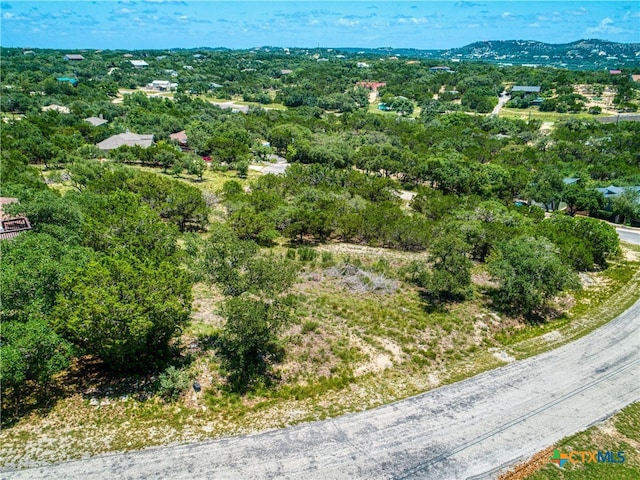 151 Nighthawk Ln, Canyon Lake, TX 78133