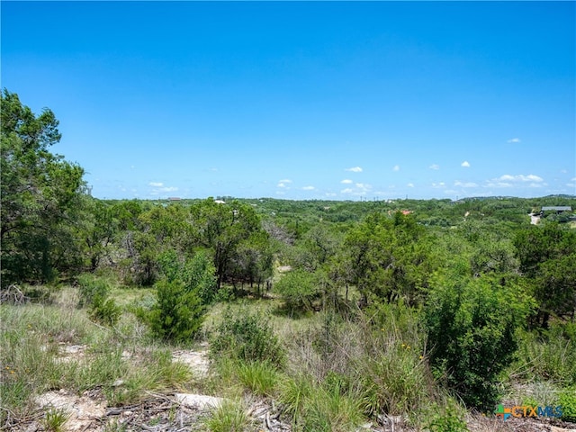 151 Nighthawk Ln, Canyon Lake, TX 78133
