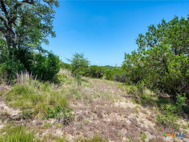 151 Nighthawk Ln, Canyon Lake, TX 78133