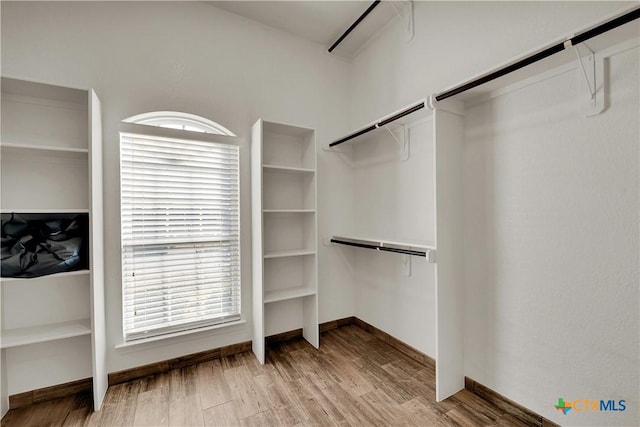 spacious closet with light hardwood / wood-style flooring