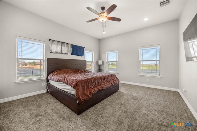 9407 Bozon Hill Dr, Salado, TX 76571 - photo 10