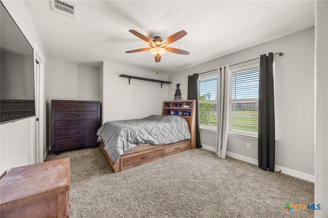 9407 Bozon Hill Dr, Salado, TX 76571 - photo 16
