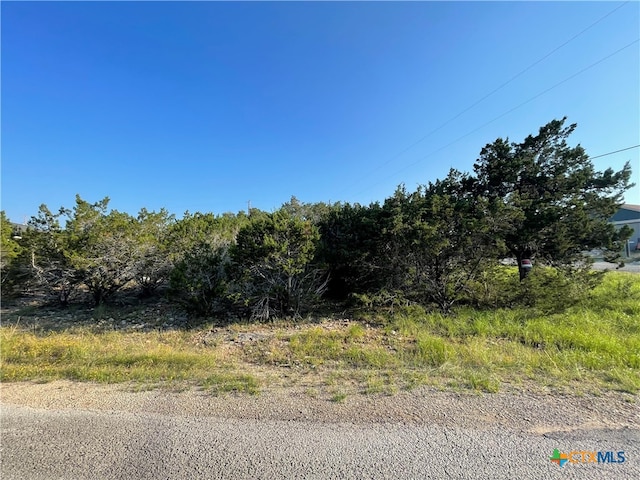 320 Ridgewood Trl, Canyon Lake TX, 78133 land for sale