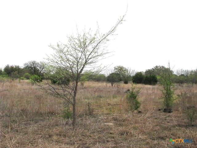 5448 County Road 182, Jonesboro, TX 76538 - photo 38