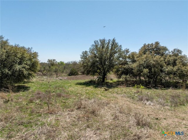 5448 County Road 182, Jonesboro, TX 76538 - photo 14