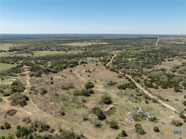 5448 County Road 182, Jonesboro, TX 76538 - photo 9
