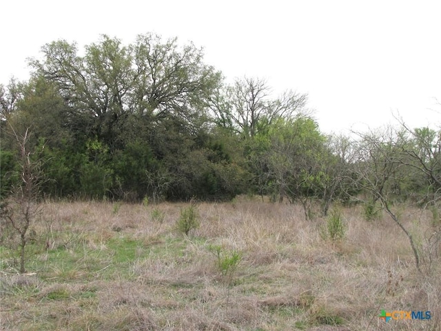 5448 County Road 182, Jonesboro, TX 76538 - photo 36